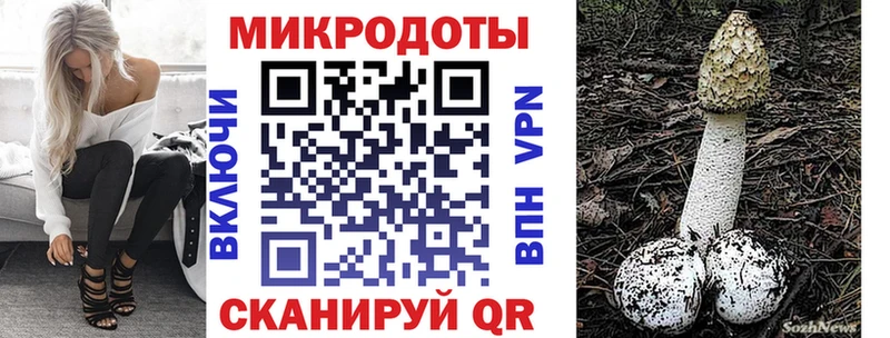Псилоцибиновые грибы GOLDEN TEACHER  Купить где  Дмитриев 